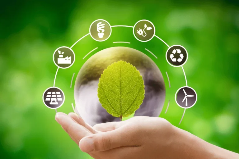How to Build a Sustainable Longevity Routine: Practical Wellness Tips for 2026