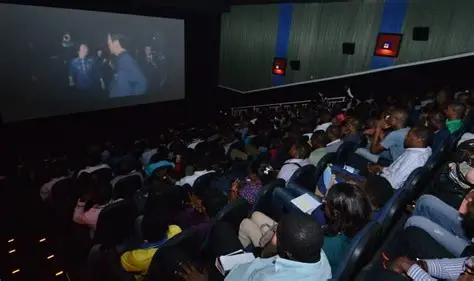 Entertainment: The Rise of Private Viewing Parties in Abuja and Why They Are Replacing Cinema Dates
